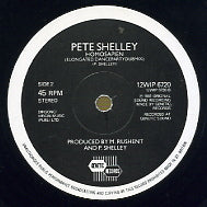 PETE SHELLEY - Homosapien