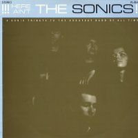 VARIOUS - Here Ain't The Sonics