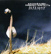 AMUSEMENT PARKS ON FIRE - In Flight