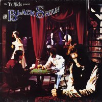 THE TRIFFIDS - The Black Swan