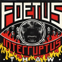 FOETUS INTERRUPTUS - Thaw