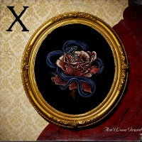 X - Ain't Love Grand