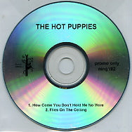 THE HOT PUPPIES - How Come You Don't Hold Me No More