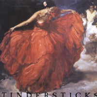 TINDERSTICKS - The First Tindersticks Album