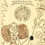 DEVENDRA BANHART - Rejoicing In The Hands Of The Golden Empress