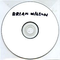 BRIAN WILSON - A Tribute To