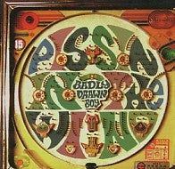 BADLY DRAWN BOY - Spitting In The Wind