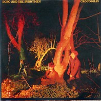 ECHO & THE BUNNYMEN - Crocodiles
