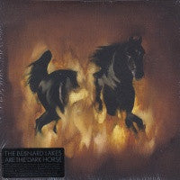 BESNARD LAKES - The Besnard Lakes Are The Dark Horse