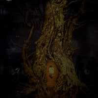 SUNN O))) & BORIS - Altar