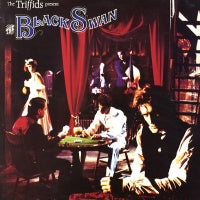 THE TRIFFIDS - The Black Swan