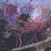 ANIMAL COLLECTIVE - Here Comes The Indian
