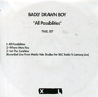 BADLY DRAWN BOY - All Possibilities / Walk Away Renee