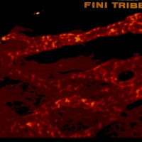 FINITRIBE - Make It Internal