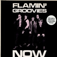 FLAMIN' GROOVIES - Now