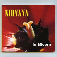NIRVANA - In Bloom