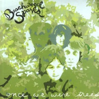 BEACHWOOD SPARKS - Once We Were Trees