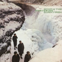 ECHO & THE BUNNYMEN - Porcupine