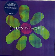JAMES - Destiny Calling