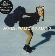 JAMES - Waltzing Along