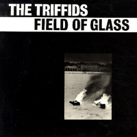 THE TRIFFIDS - Field Of Glass