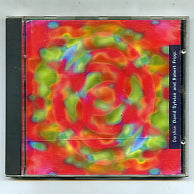 DAVID SYLVIAN and ROBERT FRIPP - Darshan