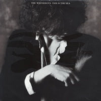 THE WATERBOYS - This Is The Sea