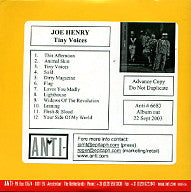JOE HENRY - Tiny Voices