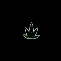AFRO KID - Chronic 20 (Stomper / Yo DJ)