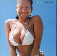 APHEX TWIN - Windowlicker