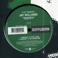 U.B.P. PRESENTS JAY WILLIAMS - Testify