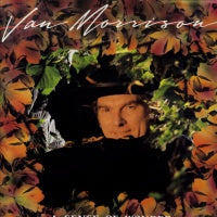 VAN MORRISON  - A Sense Of Wonder