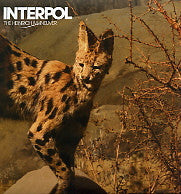 INTERPOL - The Heinrich Maneuver