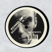 RICHARD DAVIS - Meaning & In The Air