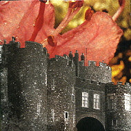 DEERHUNTER - Microcastle
