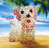 FLUKE - puppy