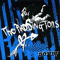 THE PADDINGTONS - Sorry