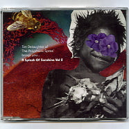 VARIOUS - Tim Delaughter of 'The Polyphonic Spree' brings you...A Splash Of Sunshine Vol 2