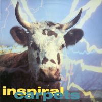 INSPIRAL CARPETS - She Comes In The Fall