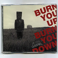 PETER GABRIEL - Burn You Up, Burn You Down
