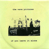 THE WAVE PICTURES - If You Leave It Alone