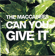 THE MACCABEES - Can You Give It