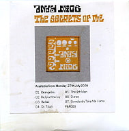 ANDY NICE - The Secrets Of Me