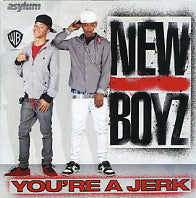 NEW BOYZ - You're A Jerk