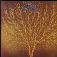 VAN DER GRAAF GENERATOR - Still Life