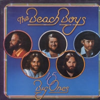 THE BEACH BOYS - 15 Big Ones