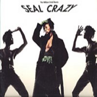 SEAL - Crazy (William Orbit Remix)