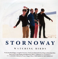 STORNOWAY - Watching Birds
