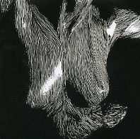 OCEANSIZE - Self Preserved While The Bodies Float Up