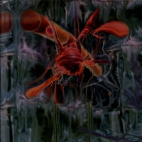 THE PEVERELIST - Jarvik Mindstate